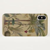 Palm Antique Tropical Frucht Botanische Kunst Case-Mate iPhone Hülle (Rückseite (Horizontal))
