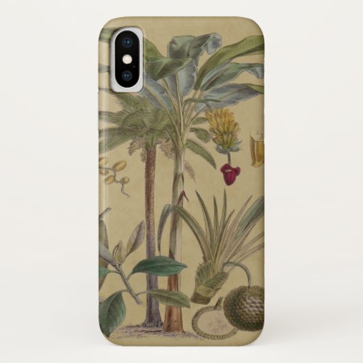 Palm Antique Tropical Frucht Botanische Kunst Case-Mate iPhone Hülle (Rückseite)