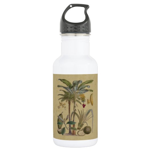 Palm Antique Tropical Frucht Botanische Kunst Edelstahlflasche (Vorderseite)