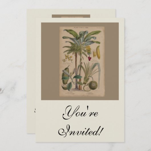 Palm Antique Tropical Frucht Botanische Kunst Einladung (Vorne/Hinten)