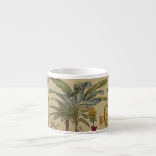 Palm Antique Tropical Frucht Botanische Kunst Espressotasse (Vorderseite)