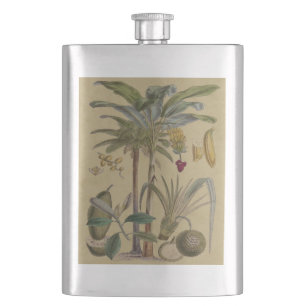Palm Antique Tropical Frucht Botanische Kunst Flachmann