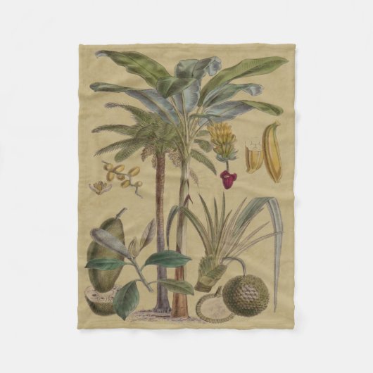 Palm Antique Tropical Frucht Botanische Kunst Fleecedecke (Vorderseite)