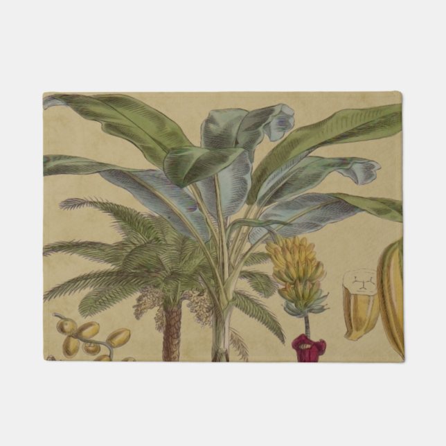 Palm Antique Tropical Frucht Botanische Kunst Fußmatte (Vorderseite)