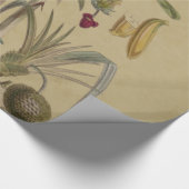 Palm Antique Tropical Frucht Botanische Kunst Geschenkpapier (Ecke)