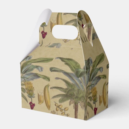 Palm Antique Tropical Frucht Botanische Kunst Geschenkschachtel (Rückseite)