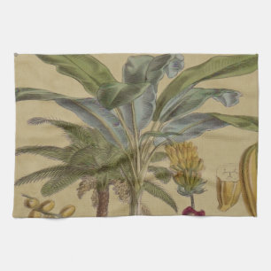 Palm Antique Tropical Frucht Botanische Kunst Geschirrtuch
