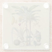 Palm Antique Tropical Frucht Botanische Kunst Glasuntersetzer (Rückseite)