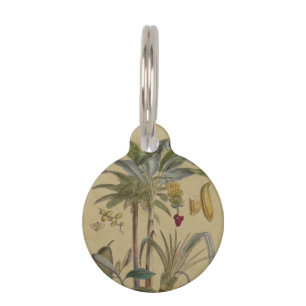 Palm Antique Tropical Frucht Botanische Kunst Haustiermarke