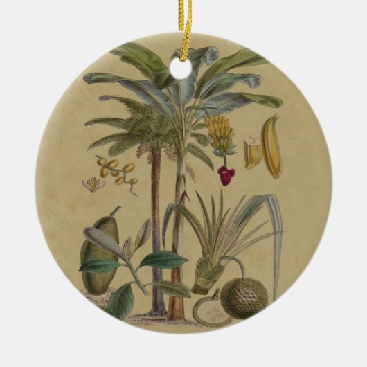 Palm Antique Tropical Frucht Botanische Kunst Keramik Ornament (Vorne)