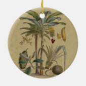Palm Antique Tropical Frucht Botanische Kunst Keramik Ornament (Hinten)