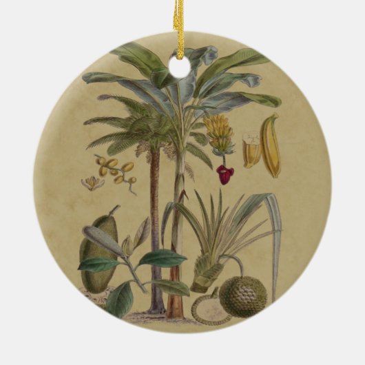 Palm Antique Tropical Frucht Botanische Kunst Keramik Ornament (Hinten)