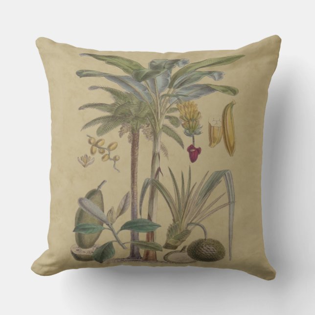Palm Antique Tropical Frucht Botanische Kunst Kissen (Vorderseite)