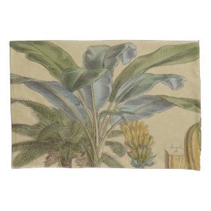 Palm Antique Tropical Frucht Botanische Kunst Kissenbezug