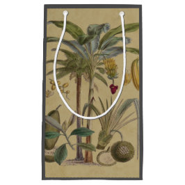 Palm Antique Tropical Frucht Botanische Kunst Kleine Geschenktüte