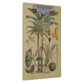 Palm Antique Tropical Frucht Botanische Kunst Klemmbrett (Rechts)
