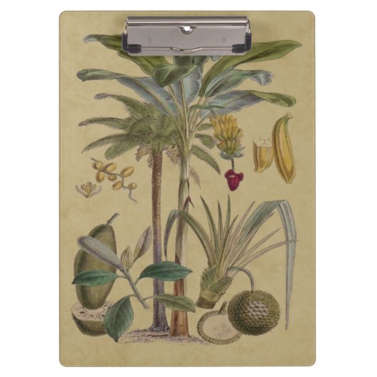 Palm Antique Tropical Frucht Botanische Kunst Klemmbrett (Vorderseite)