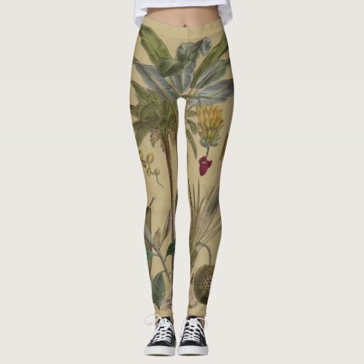 Palm Antique Tropical Frucht Botanische Kunst Leggings (Vorderseite)