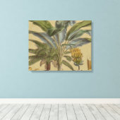 Palm Antique Tropical Frucht Botanische Kunst Leinwanddruck (Insitu (Holzboden))