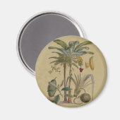 Palm Antique Tropical Frucht Botanische Kunst Magnet (Vorderseite/Rückseite)