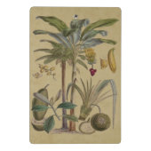 Palm Antique Tropical Frucht Botanische Kunst Mini Klemmbrett (Rückseite)