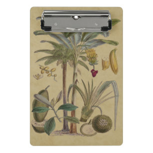 Palm Antique Tropical Frucht Botanische Kunst Mini Klemmbrett