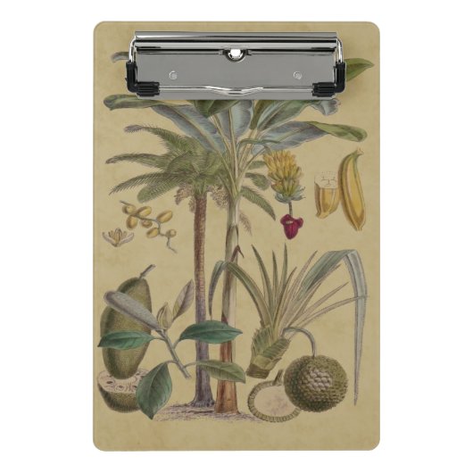 Palm Antique Tropical Frucht Botanische Kunst Mini Klemmbrett (Vorderseite)