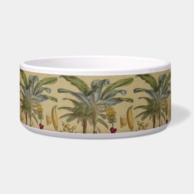 Palm Antique Tropical Frucht Botanische Kunst Napf (Vorderseite)