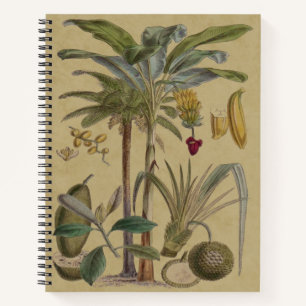 Palm Antique Tropical Frucht Botanische Kunst Notizblock