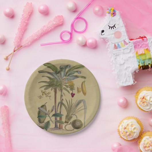 Palm Antique Tropical Frucht Botanische Kunst Pappteller (Party)
