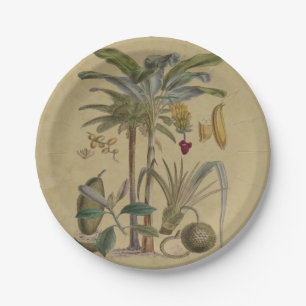 Palm Antique Tropical Frucht Botanische Kunst Pappteller