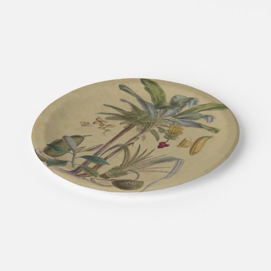 Palm Antique Tropical Frucht Botanische Kunst Pappteller (Schrägansicht)
