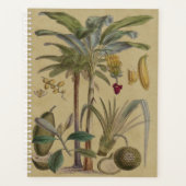 Palm Antique Tropical Frucht Botanische Kunst Planer (Vorderseite)