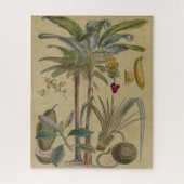 Palm Antique Tropical Frucht Botanische Kunst Puzzle (Vertikal)