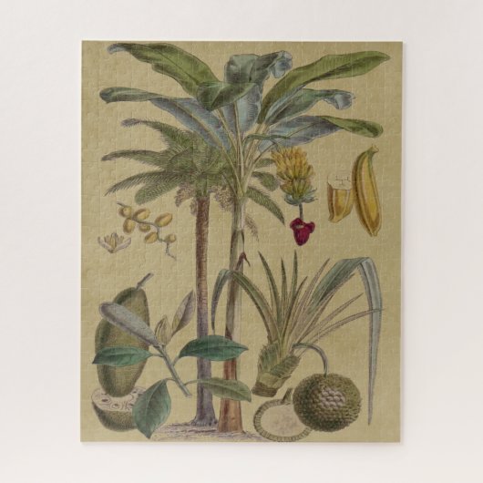 Palm Antique Tropical Frucht Botanische Kunst Puzzle (Vertikal)