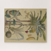Palm Antique Tropical Frucht Botanische Kunst Puzzle (Horizontal)