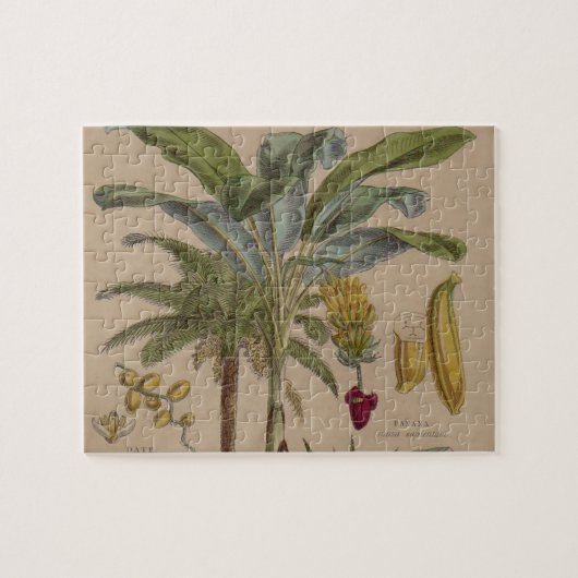 Palm Antique Tropical Frucht Botanische Kunst Puzzle (Horizontal)