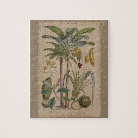 Palm Antique Tropical Frucht Botanische Kunst Puzzle (Vertikal)