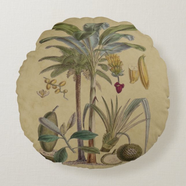 Palm Antique Tropical Frucht Botanische Kunst Rundes Kissen (Vorderseite)