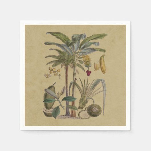 Palm Antique Tropical Frucht Botanische Kunst Serviette (Vorderseite)