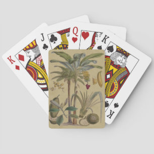 Palm Antique Tropical Frucht Botanische Kunst Spielkarten