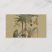 Palm Antique Tropical Frucht Botanische Kunst Visitenkarte (Rückseite)