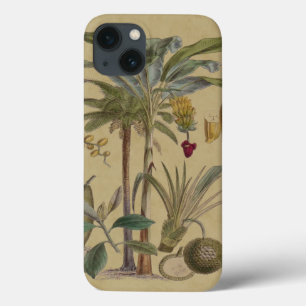 Palm Antique Tropische Früchte Botanische Kunst Case-Mate iPhone Hülle