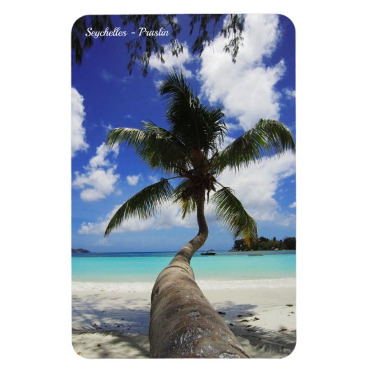 Palm auf der Insel Seychellen, Praslin Magnet (Vertikal)