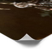 Palm Bark Poster (Ecke)