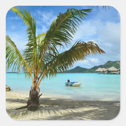 Palm-Baum und Aufkleber für das Überwasser (Vorderseite)