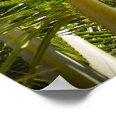 Palm-Baumposter/Leinwand Poster (Ecke)