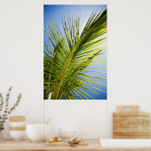 Palm-Baumposter/Leinwand Poster (Küche)