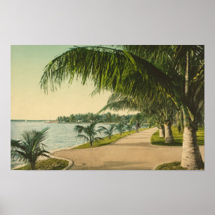 Palm Beach 1898 Vintag Florida Szene Poster