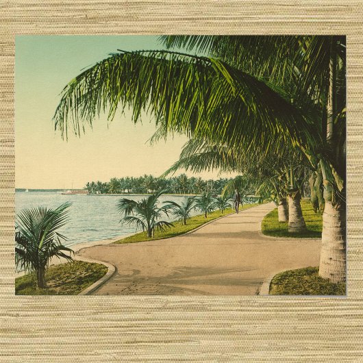 Palm Beach 1898 Vintag Florida Szene Poster